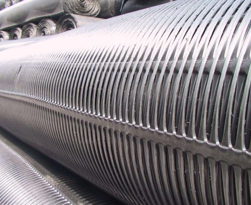 龍口鋼塑土工格柵批發(fā)價(jià)現(xiàn)在是什么價(jià)格