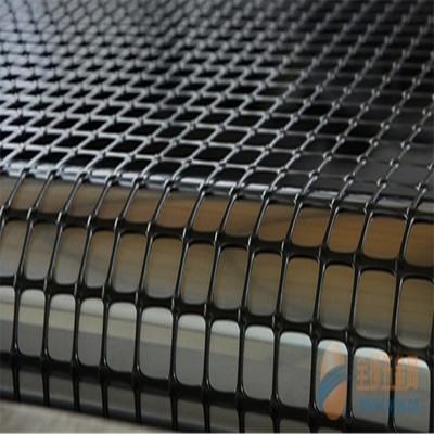 鋼塑土工格柵_鋼塑土工格柵 雙向土工格柵用 工程及土地養(yǎng)護(hù) 